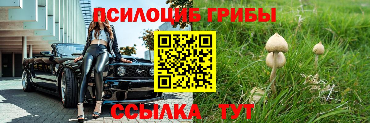 Галлюциногенные грибы ЛСД Норильск